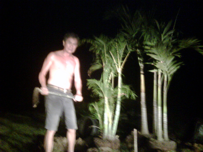 Captain Watana planting trees for his house under cover of darkness